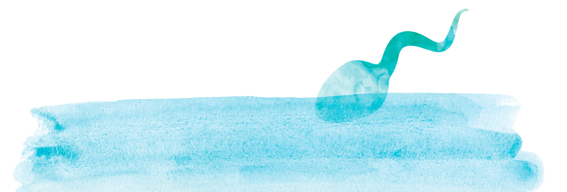 Identidad visual para congreso de medicina sexual ASESA