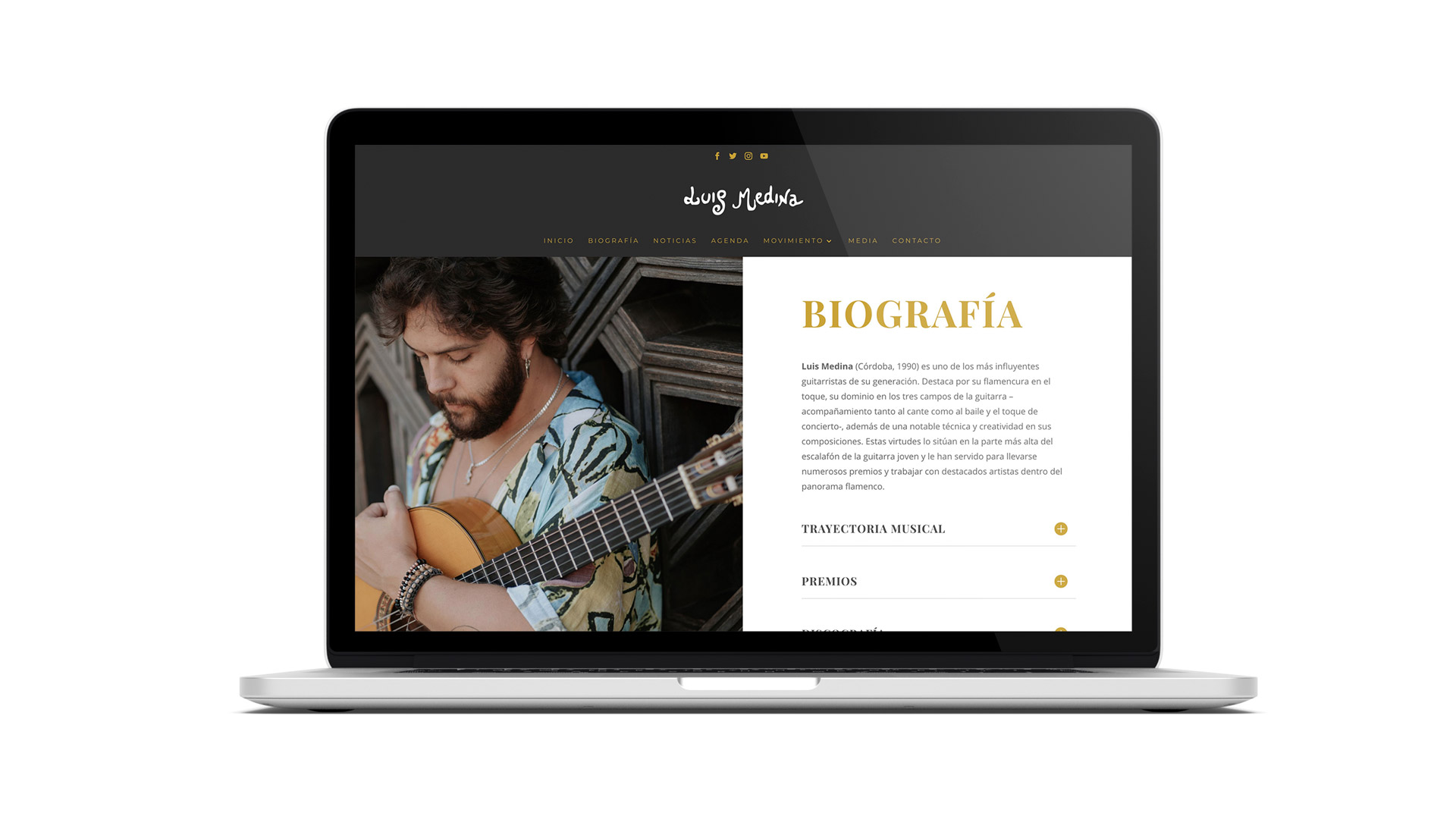 Web oficial guitarrista flamenco Luis Medina